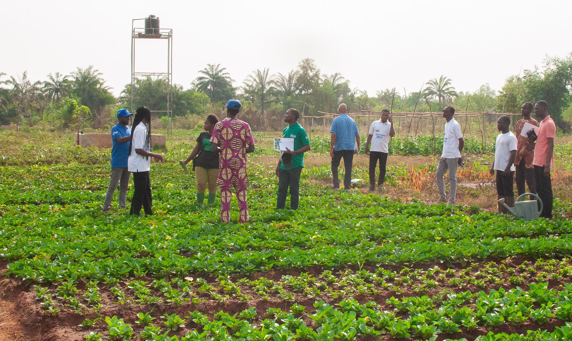 GRASID ONG Développement durable